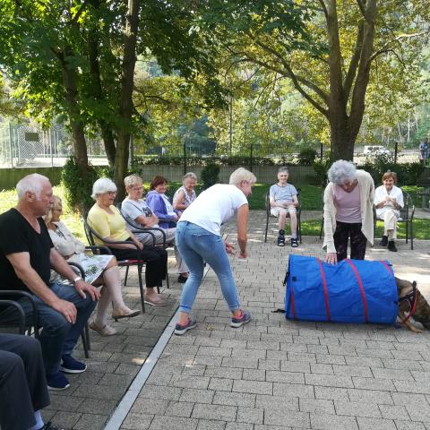 Pasja predstava v Domu ob Savinji